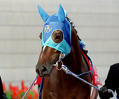 アドマイヤベガ